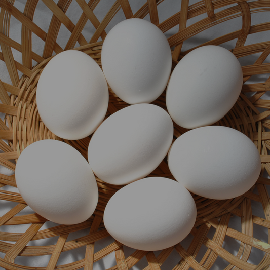 Pasture Raised Duck Eggs